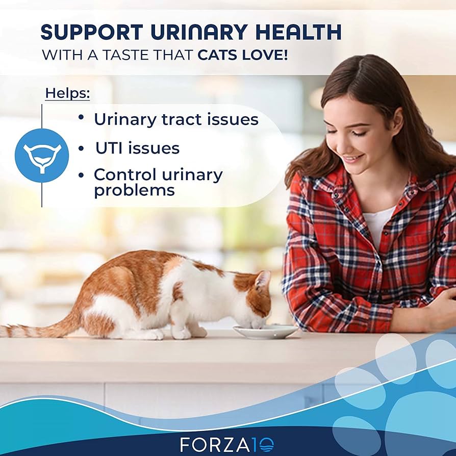FORZA10 URINARY active 猫用ドライフード 454g✖️5袋 FORZA10 URINARY active 猫用ドライフード 454g✖️5袋 - メルカリ